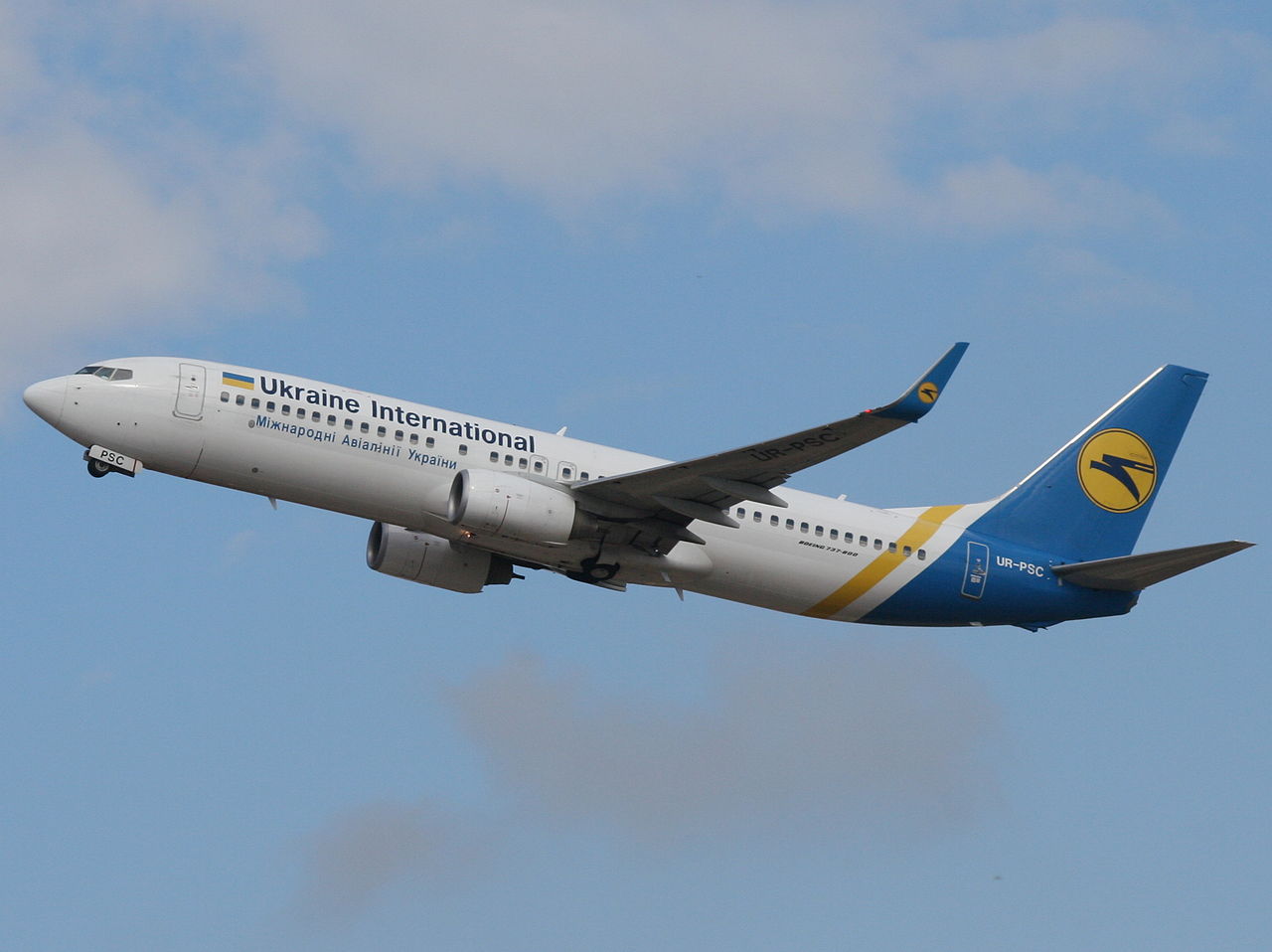 Ukrainian International Airlines Boeing 737-800 crashed after being hit by Iranian Tor-M1 Missile